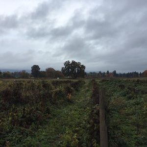 Meet your Posher, Debra